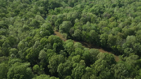 Río-Wolf-Serpenteando-A-Través-De-Una-Exuberante-Vegetación-En-Collierville,-Tennessee,-Vista-Aérea