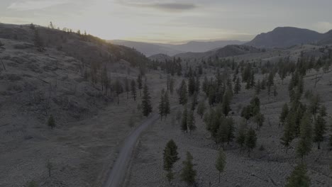 por encima de la naturaleza: exploración aérea de la naturaleza intacta del lago du bois