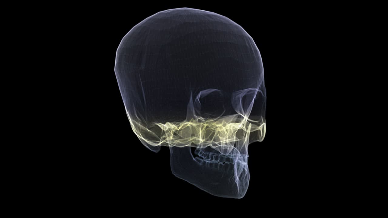 futurista de rayos x holográficos que escanean partes del cuerpo humano