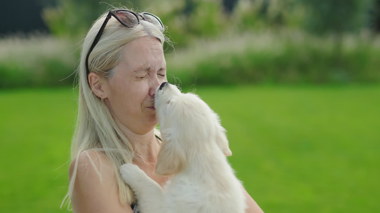 Little golden retriever puppy licking a woman's face