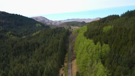 aerial view of a road passing through a dense forest valley with mountains in the background