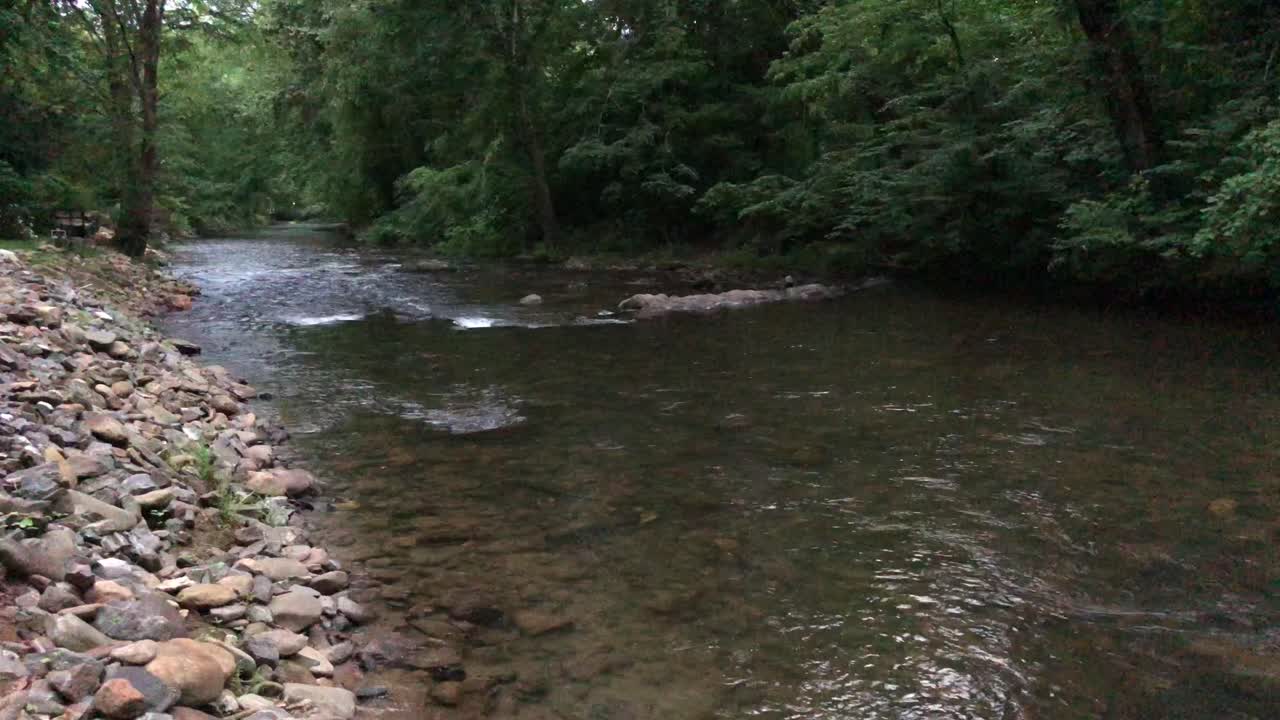 Strømmende flod gennem en tæt skov