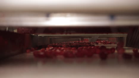 cherries on a conveyor belt in a food processing plant