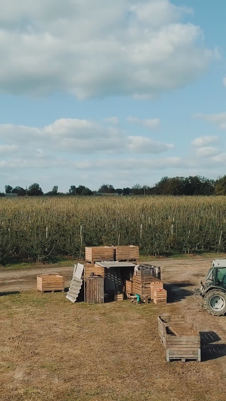 Apple orchards view from above. Beautiful outdoor countryside scenery from drone view Vertical video