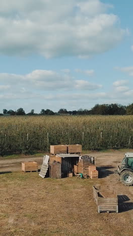 apple orchards view from above. beautiful outdoor countryside scenery from drone view vertical video