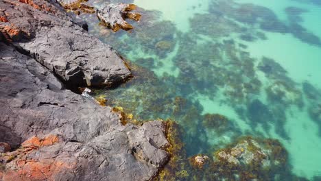 Ubicado-En-Tasmania,-Una-De-Las-Hermosas-Playas-Con-Su-Agua-Cristalina