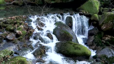 Río-Claro-En-Medio-Del-Bosque-Con-Cascada