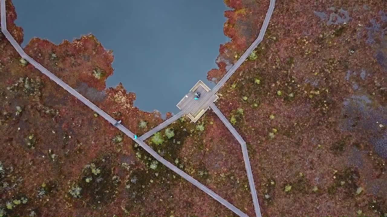 Aerial drone rising above a bog with a lake with people walking on a wooden pathway in Soomaa National Park in Estonia