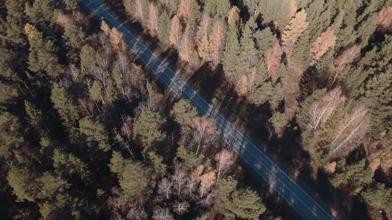 Filmato drone dall'alto di una tranquilla strada asfaltata che attraversa una foresta autunnale mista con lunghe ombre e alberi colorati sui Monti Urali, Russia.