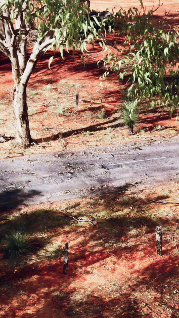 un camino de tierra roja en el interior de australia