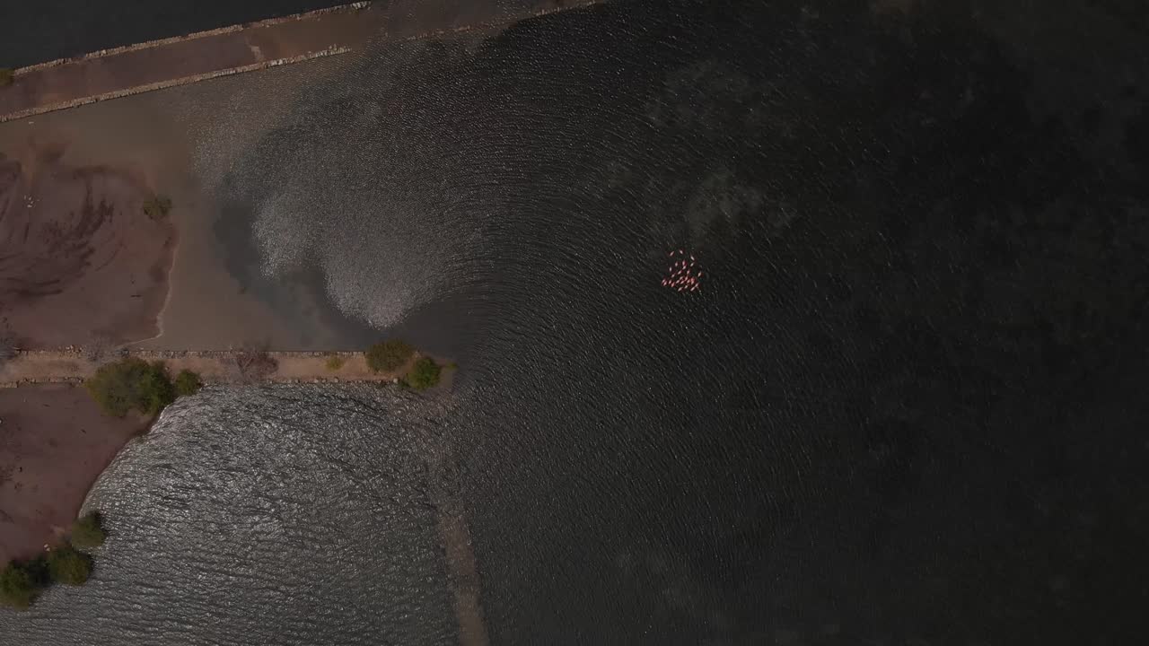 dji mavic air에서 촬영한 솔트 레이크에서 플라밍고 로켓 공중