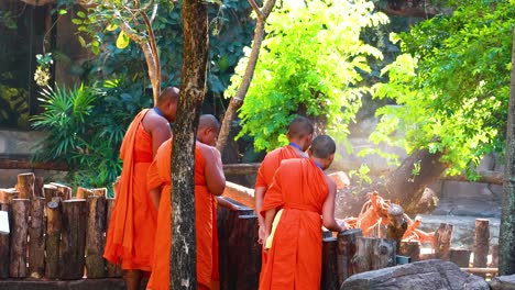 monjes budistas en un entorno tropical