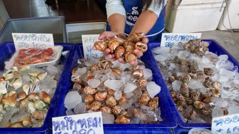 vendor organizing seashells on ice at market.