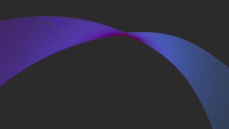 striking purple and blue curve gracefully sweeping across black