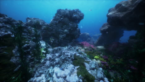 Colorful-coral-reef-at-the-bottom-of-tropical-sea