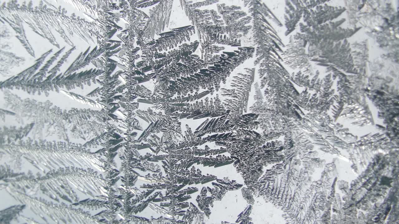 잎 을 인쇄 한 얼음 블록