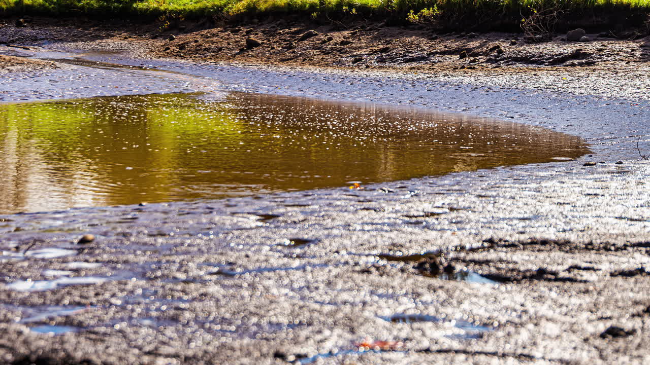 Water in shallow pond recedes and then grows and fills once more covering the muddy dry dirt banks at a bend in the river, timelapse