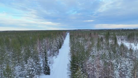 Video-Einer-Drohne-Von-Einer-Landstraße-Im-Schneebedeckten-Wald