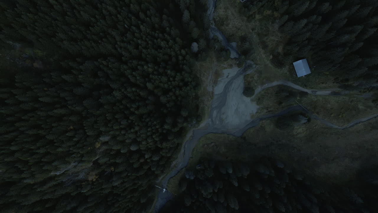 새의 눈 드론이 산의 소나무 숲으로 올라갑니다.