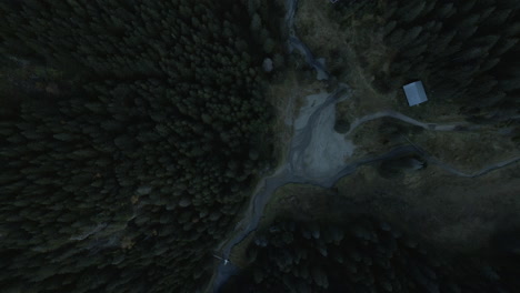 bird's eye drone ascending into the mountain pine forest 4k