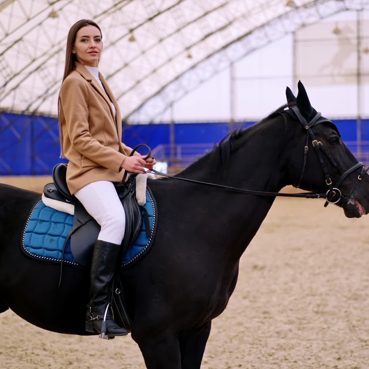 Beautiful Caucasian long-haired woman riding wonderful black horse at manege. Lady stops the horse in front of camera