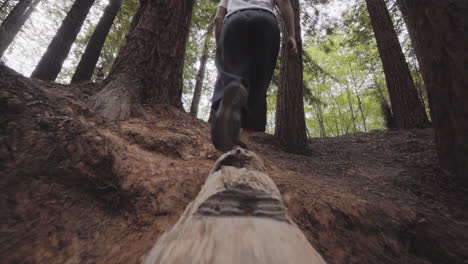 Cult-member-woman-entering-Asturias-woods-Spain-low-angle-shot