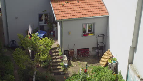 cozy backyard oasis in the city