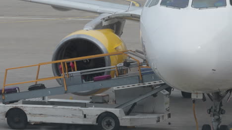 baggage loaded into the hold of an aircraft getting ready for takeoff