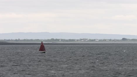 disparo en cámara lenta de la prostituta de galway navegando a través de la bahía frente a la costa de irlanda, los pájaros vuelan en cámara lenta