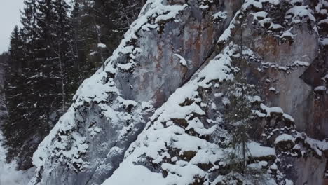 snowy winter forest landscape with rocks