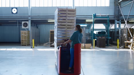 trabajadora de almacén que transporta paletas, conduce una máquina de almacenamiento y mueve cajas