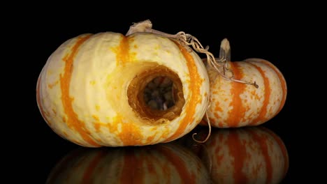 slowly moving towards one decorative gourd with multi-stranded stem in view and one other in background to the side, and the stem of another visible through cored out section