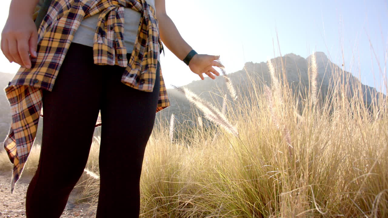 Hiking in mountains, woman touching tall grass, enjoying nature outdoors