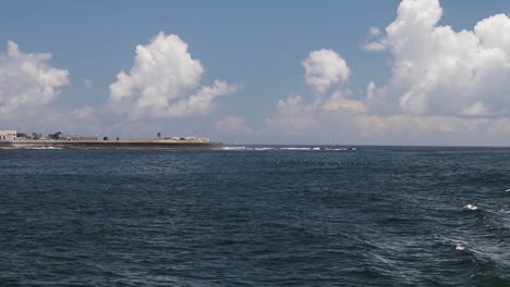 Eine-Aufnahme-Von-Möwen,-Die-Auf-Dem-Ozean-Schwimmen