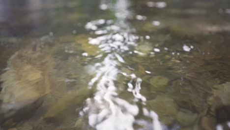 Agua-Corriente-En-Cámara-Lenta.