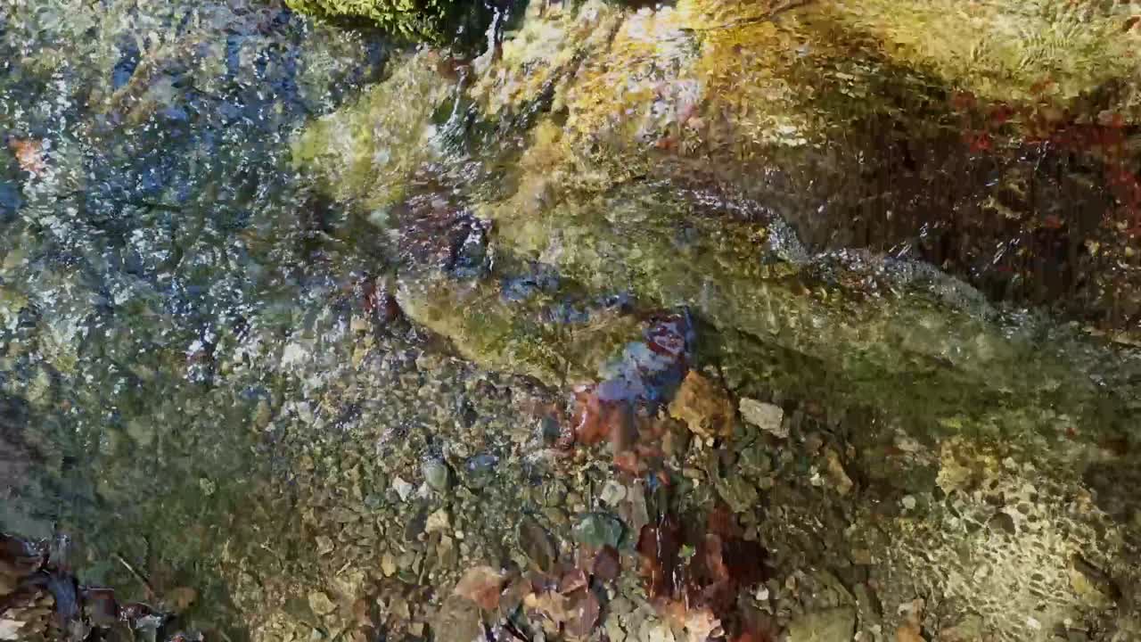 el flujo de un río de montaña y el despertar de la naturaleza a su alrededor en la primavera
