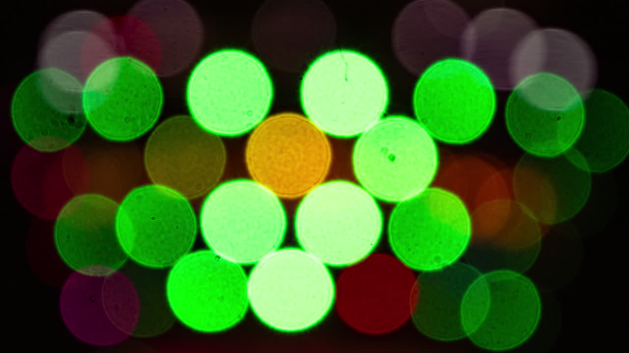 out of focus colourful city lights