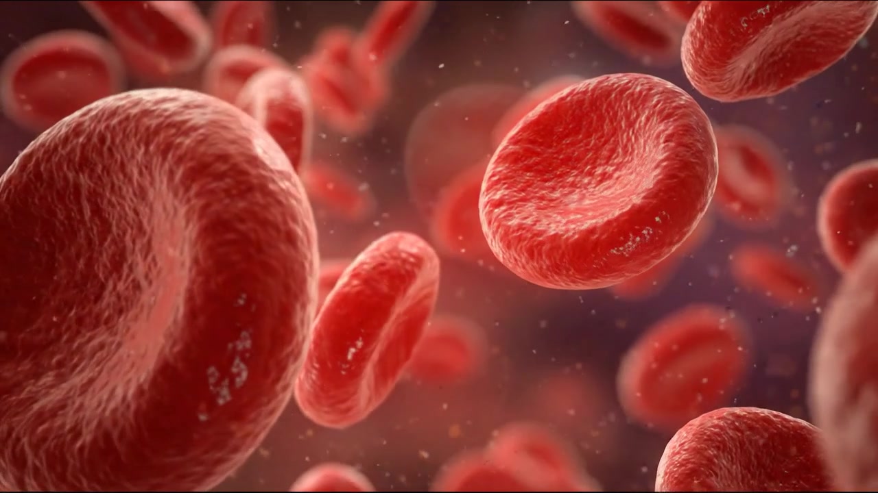 Red blood cells moving through a bright bloodstream visualization in detailed footage