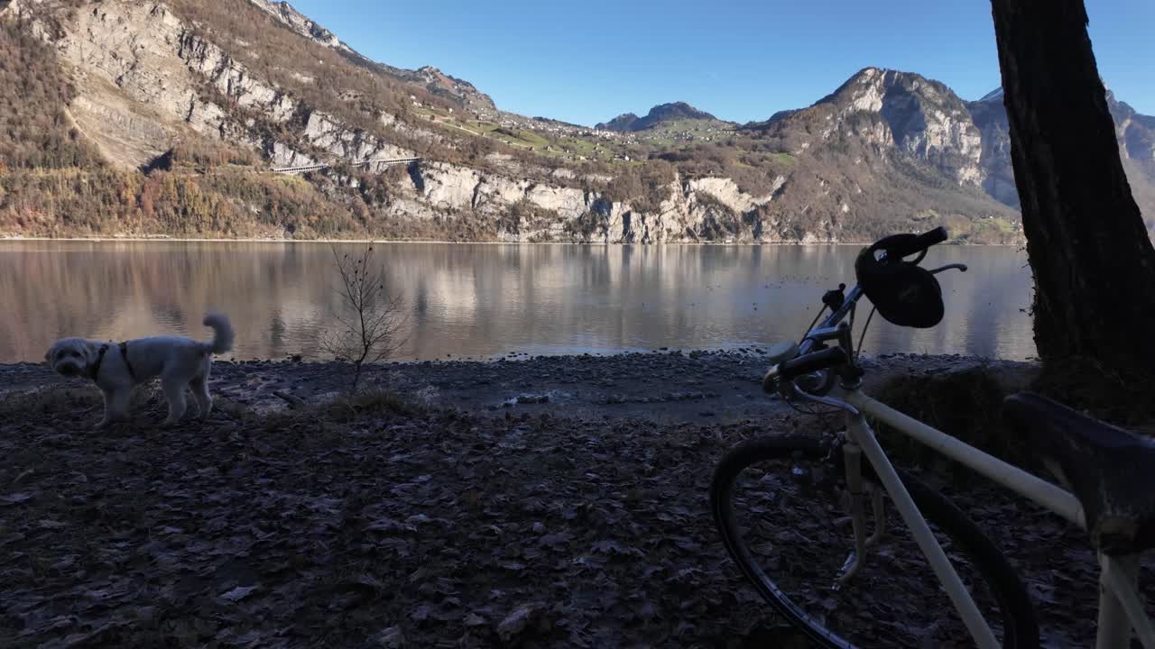 Outdoor nature scene lakeside Lake Walensee Switzerland bike stop with pet dog labradoodle