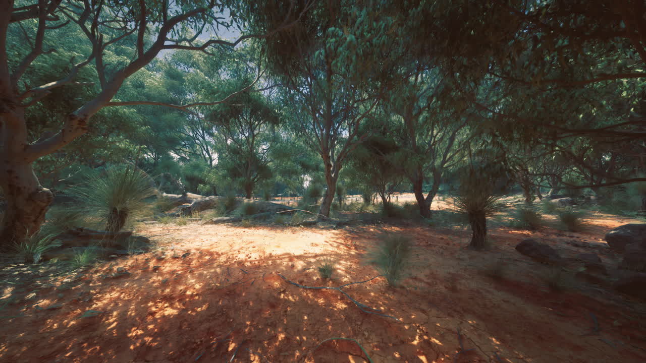 Sunlight filters through trees in a vibrant forest landscape during day