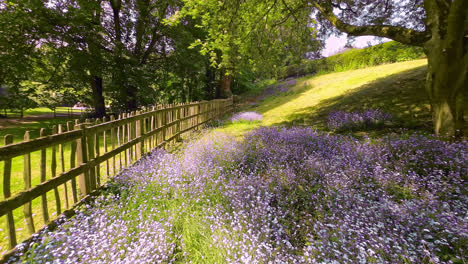 a uk country park's