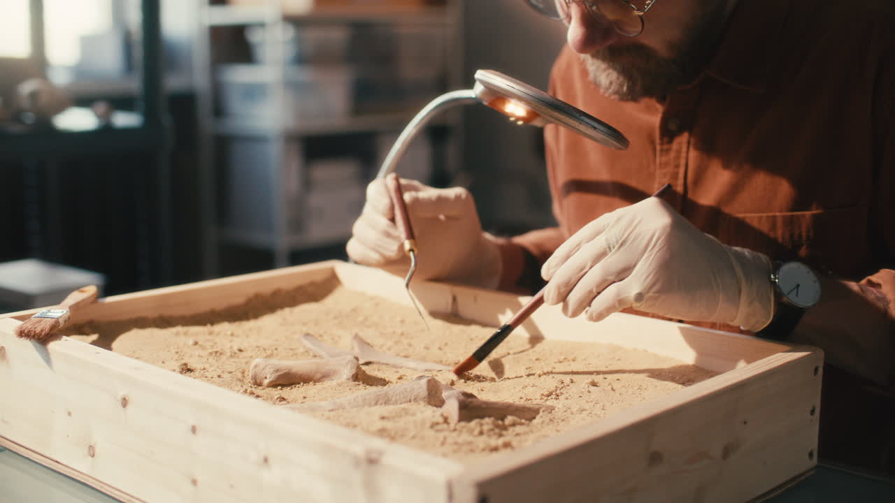 археолог обнаруживает кости в заполненном песком под лупом