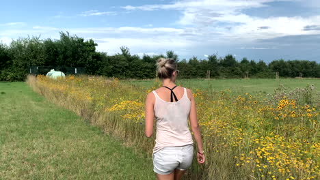 girl walks over the meadow and collects flowers for the bouquet in the nature