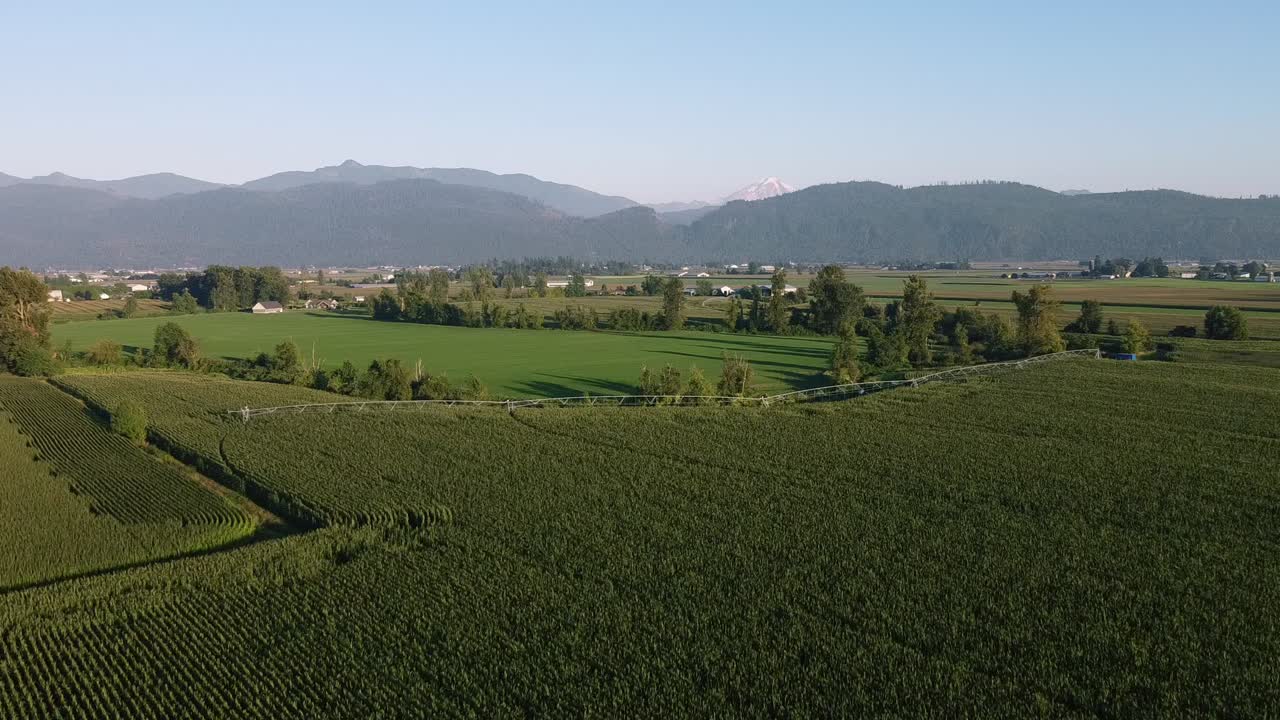 4-4 Aerial super slow fly over mountain valley farms on a sunny summer day with lush green rows of crop vineyards fruit at a cultivated countryside with a natural scenic ripe harvest of the plentiful