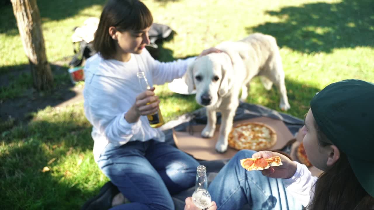 친구 들 이 피자, 맥주, 개 와 함께 공원 에서 피크닉 을 즐기고 있다