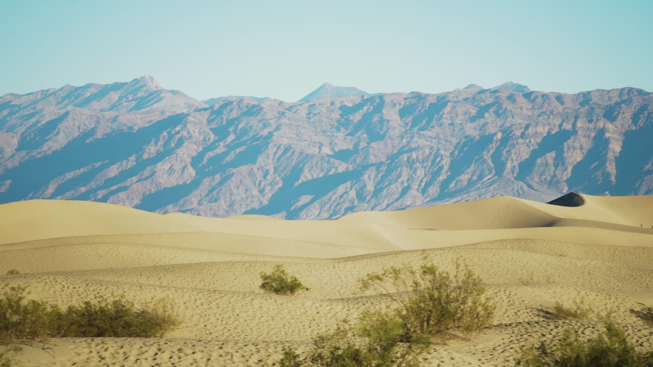 덥고 화창한 날 메스키트 평평한 모래 언덕을 가로지르는 팬 오른쪽 보기