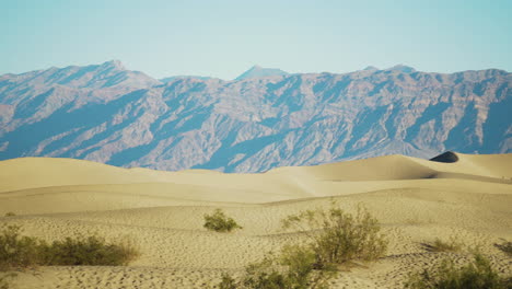 pan right view across mesquite flat sand dunes on hot sunny day