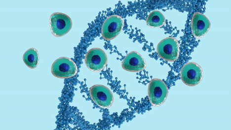 animación de células del cuerpo humano y cadena de adn sobre fondo azul