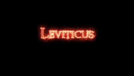 leviticus written with fire. loop