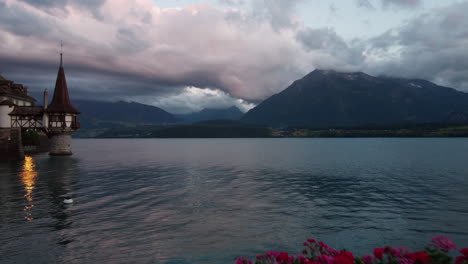 flying through palm tree over the surface of lake thun in switzerland in soft morning light